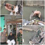 Oplus_131072