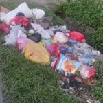 IMG-20260115-WA0021